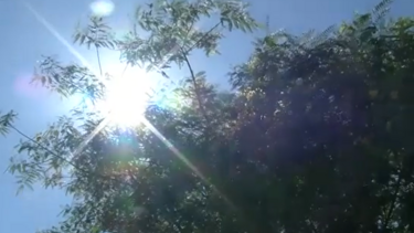Calor continua a fazer sentir-se no País. Há treze distritos sob aviso amarelo