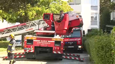 Incêndio em apartamento mata três gatos no Porto