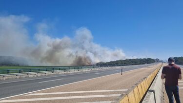 Incêndio em Alcácer do Sal corta trânsito na A2 nos dois sentidos