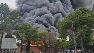 Mais de duas dezenas de Bombeiros combatem fogo na zona industrial do Porto