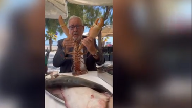 Isaltino Morais ironiza: "Nunca comi lavagante..."