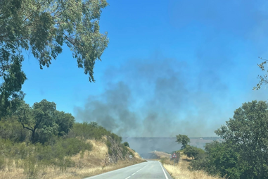 Quase 100 bombeiros e quatro meios aéreos combatem incêndio na Amareleja