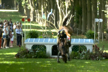 Cavaleiro Manuel Grave fratura de clavícula em queda e despede-se dos Jogos Olímpicos 