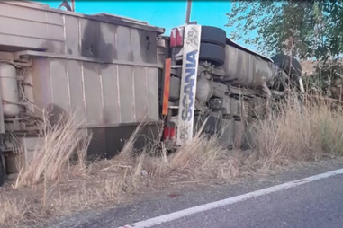Jovem de 23 anos morre em despiste de pesado com bovinos na EN369 em Portalegre