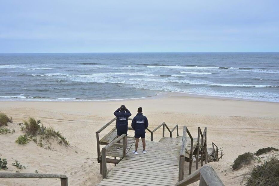 2024-07-03_10_06_40 51950127.jpg