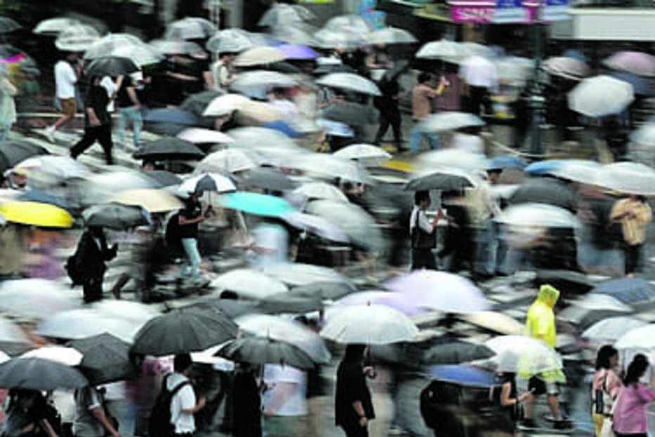 Elevada densidade leva a maior taxa de mortalidade 