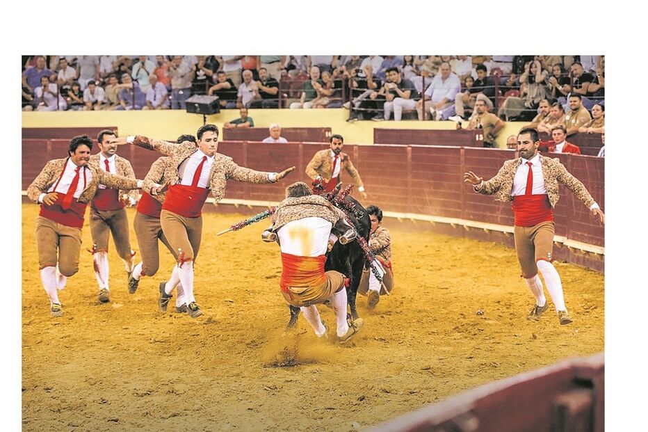 Imagem Imagem.jpg (21798100) (Milenium)