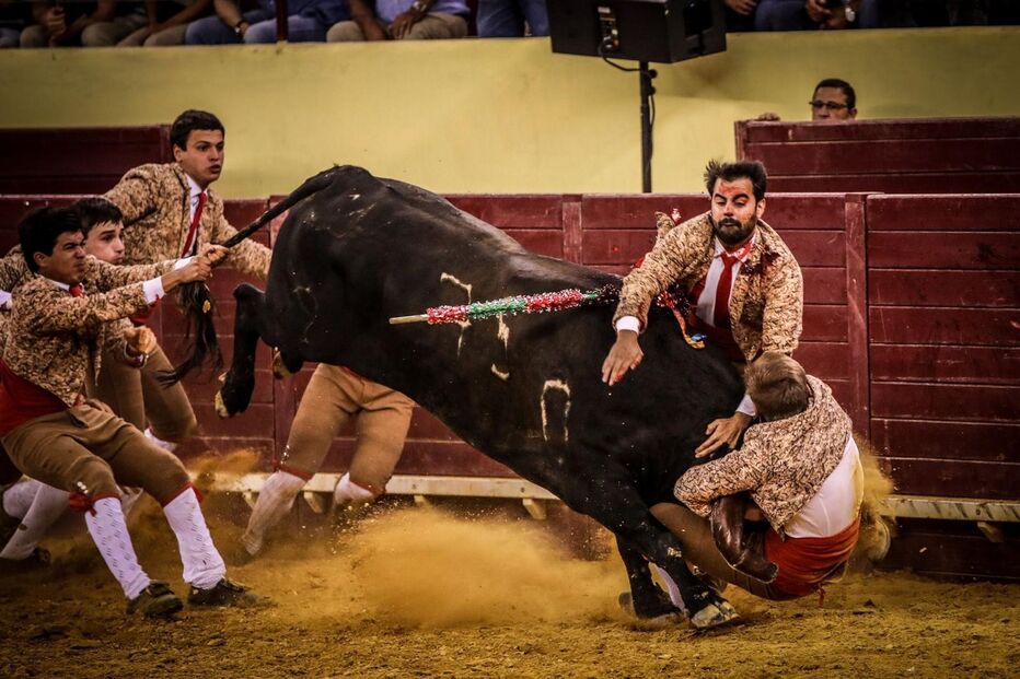 Imagem IMG-20240705-WA0003.jpg (21801815) (Milenium)