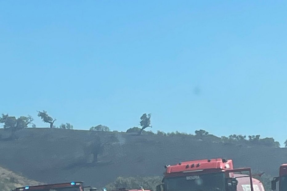 Quase 100 bombeiros e quatro meios aéreos combatem incêndio na Amareleja