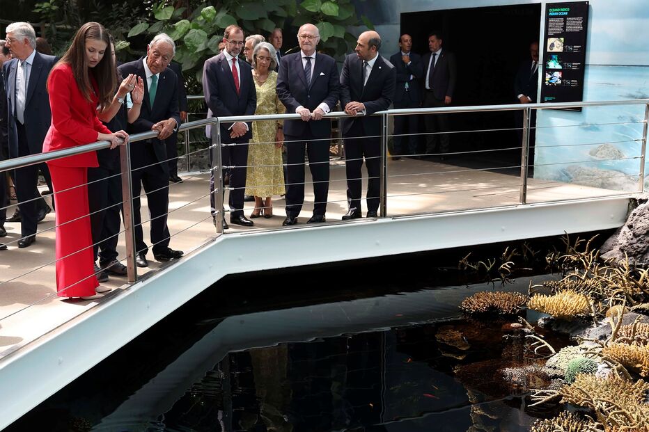 2024-07-12_17_15_19 52055892.jpg