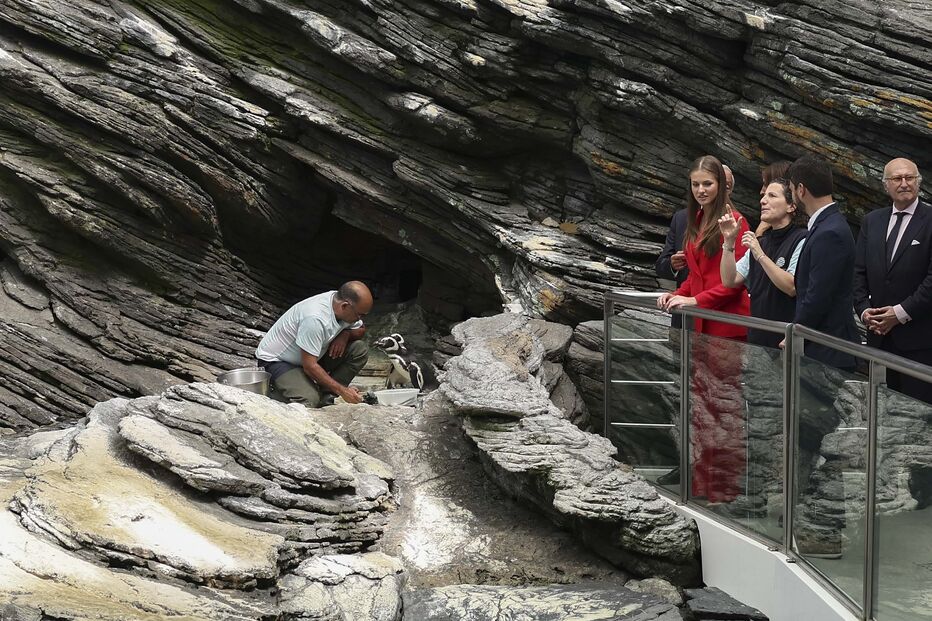 2024-07-12_17_15_27 52055983.jpg