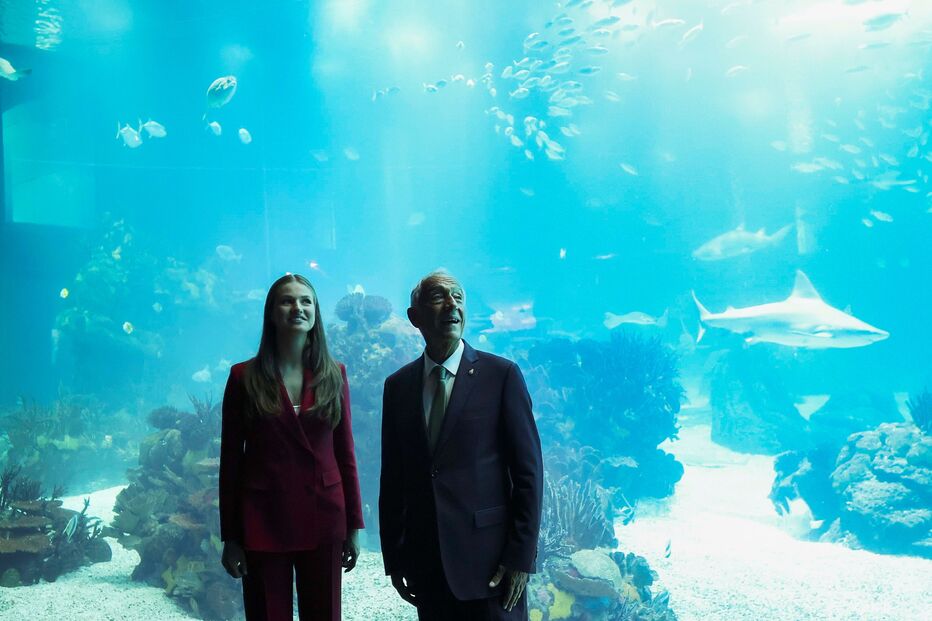 2024-07-12_17_15_52 52055969.jpg