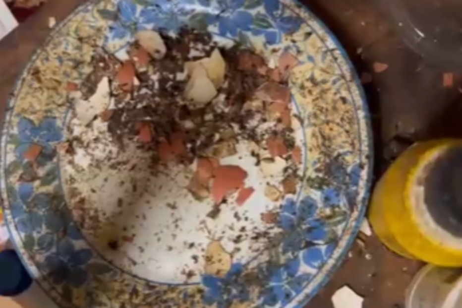 Vizinhos estão desesperados