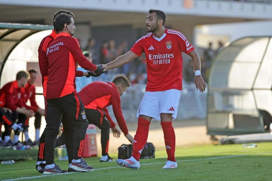 2024-07-14_13_59_00 pav1.jpg