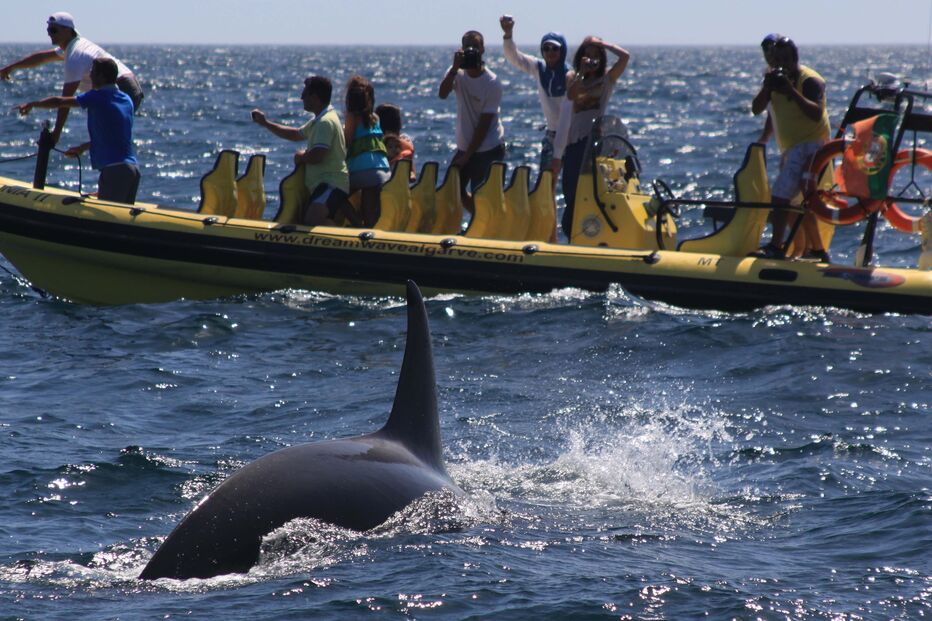 Imagem MVT02.JPG (21873748) (Milenium)