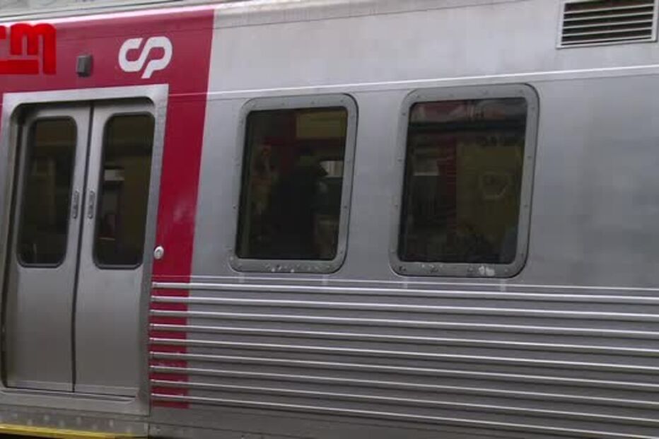 Nem gás-pimenta trava agressor de vigilante de estação de comboios em Lisboa