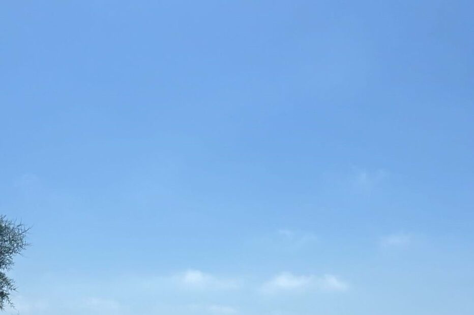 Francisco Monteiro anuncia fim de namoro com Bárbara Parada