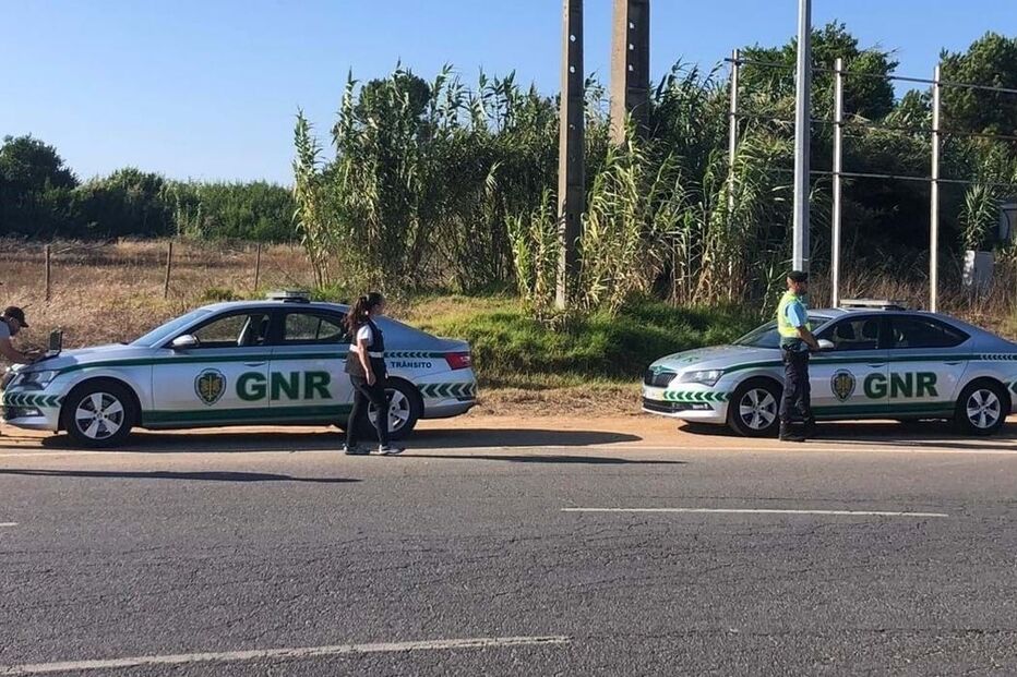  Detetados 66 cidadãos estrangeiros em situação irregular em Odemira