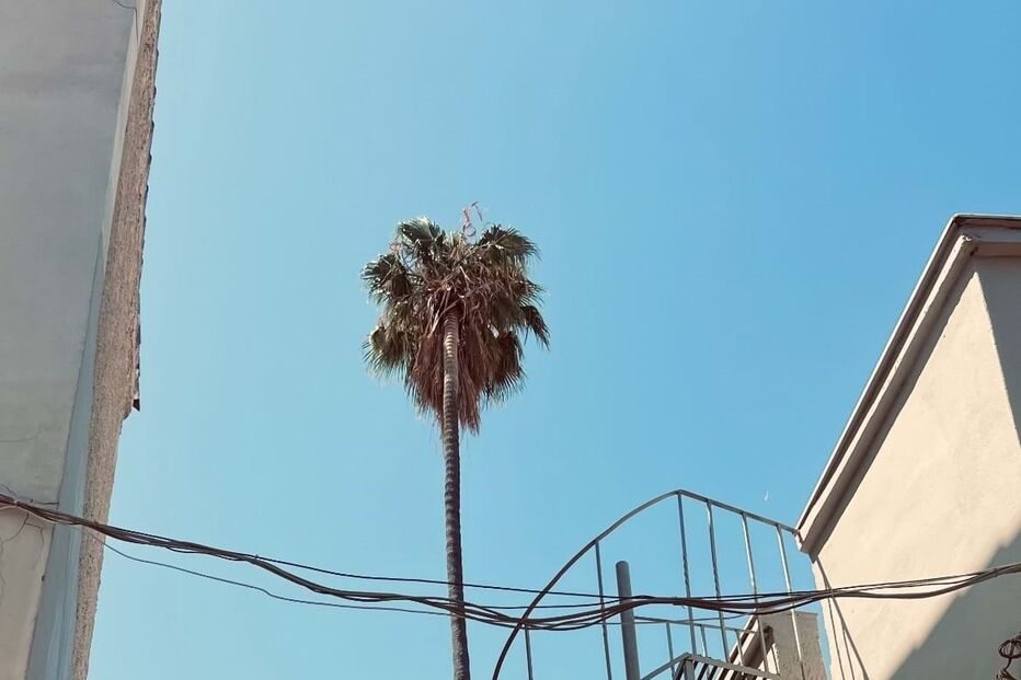 Cristina Ferreira de férias em Atenas