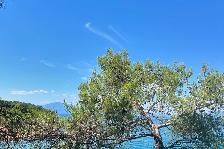 Paulo Pires/ Instagram