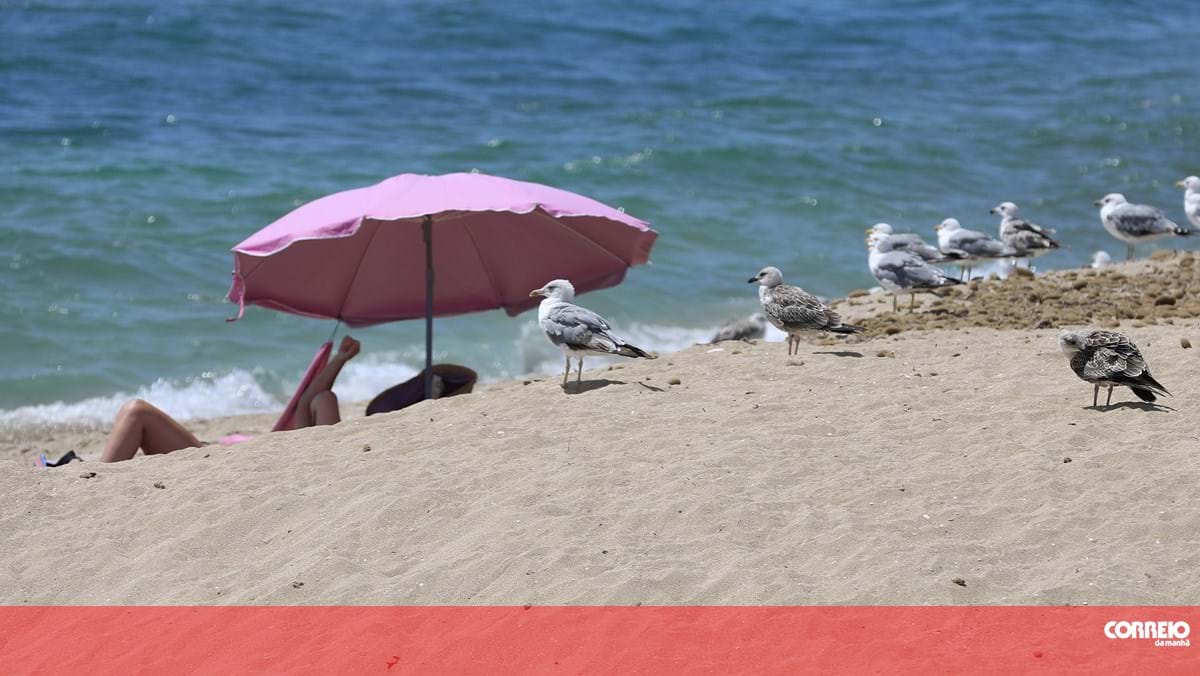 Turista de 30 anos violada na praia em Maiorca