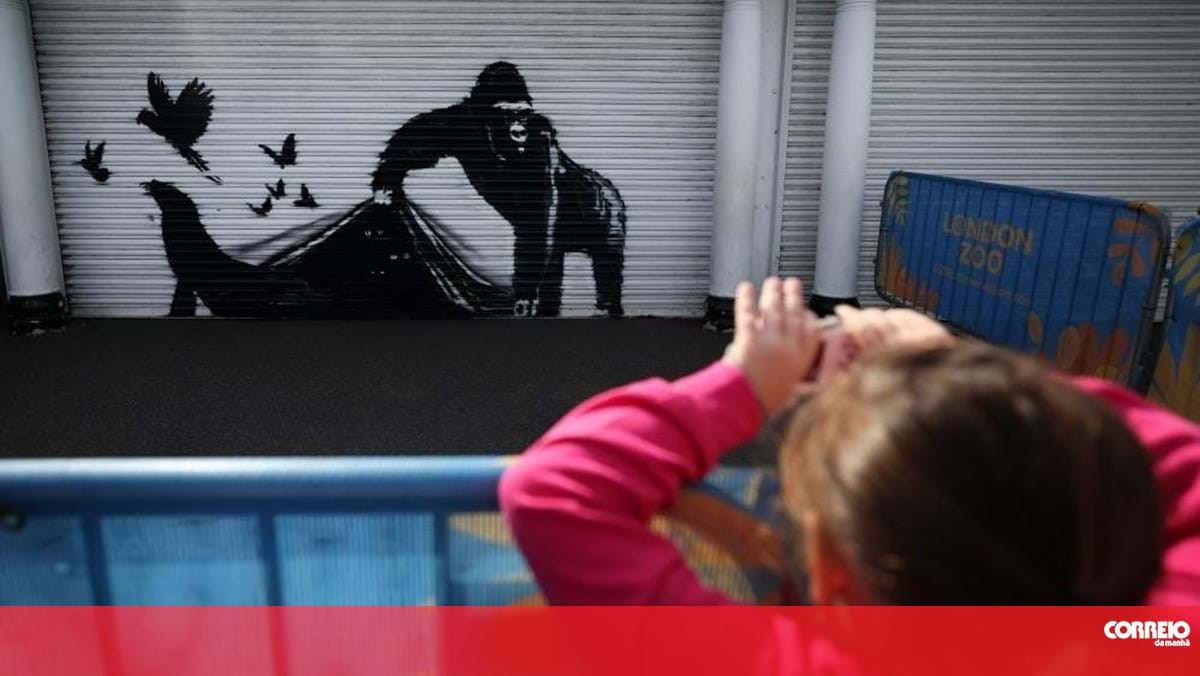 "Banksy esteve aqui": Zoo de Londres remove obra "por segurança"