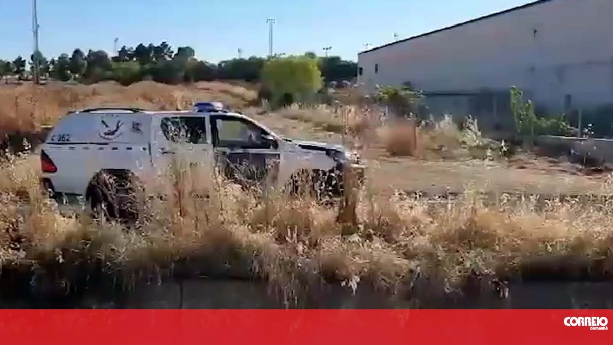 Encontrada faca com "restos biológicos" perto da casa do suspeito de matar menino de 11 anos em Espanha