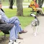 A Segurança Social antecipa o pagamento de pensões e subsídios de Natal para 5 de dezembro