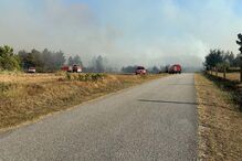 Fogo em mato em Celorico da Beira