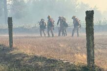 Fogo em mato em Celorico da Beira