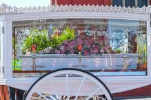 Cerimónias fúnebres de Alice Aguiar	