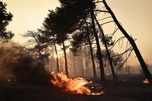 Incêndio em Varnavas, Grécia