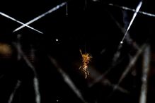 Cerimónia de encerramento dos Jogos Olímpicos Paris2024