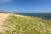 Imagem IMAGE00002.JPEG (22156088) (Milenium)