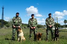 2024-08-23_18_43_08 equipa cinotecnia 2022.jpg