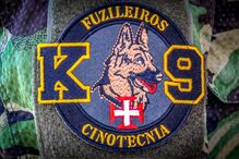 2024-08-23_18_43_10 simbolo cinotecnia.jpg