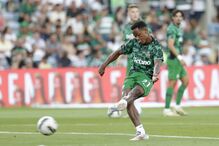 2024-08-23_20_13_56 RNA_0279.jpg