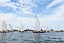 2024-08-29_16_04_25 Sao Paio Torreira_1.jpg