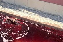 Tanque implode e liberta mais de 30 mil litros de vinha para a EN118 em Alpiarça