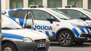 Homem espanca o próprio cão em frente à polícia e diz estar "a dar-lhe educação". Foi detido
