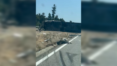 Camião tombado condiciona trânsito na A1