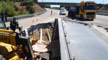Camião despista-se na A17 em Coimbra e condiciona trânsito