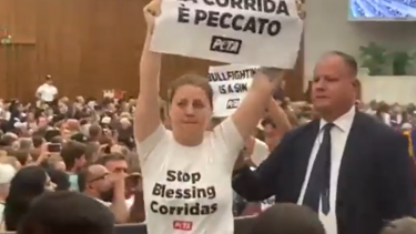 Jovens protestam contra touradas em audiência com Papa Francisco