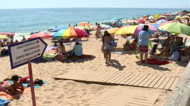 "Venho sempre ao Algarve": Milhares de pessoas aproveitam praias do Sul de Portugal em agosto