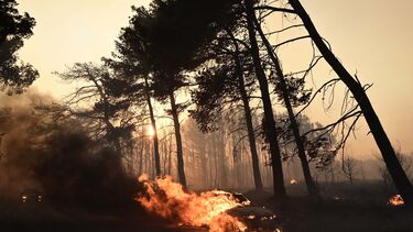 Incêndio em Varnavas, Grécia