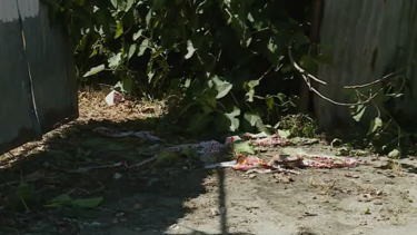 Homem encontrado morto em Carnide ainda tinha faca cravada no peito. Homicida está em fuga