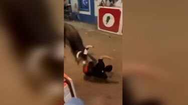 Touros fazem 46 feridos em três dias das festas do Barrete Verde em Alcochete 