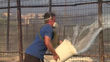 Moradores dos arredores de Atenas enfrentam o pior incêndio florestal deste ano 