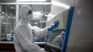 Varíola dos macacos