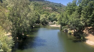 Praia fluvial de Ferreiros do Dão 
